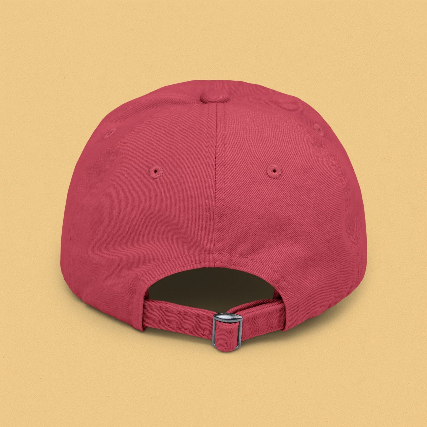Salty Nut Distressed Unisex Cap